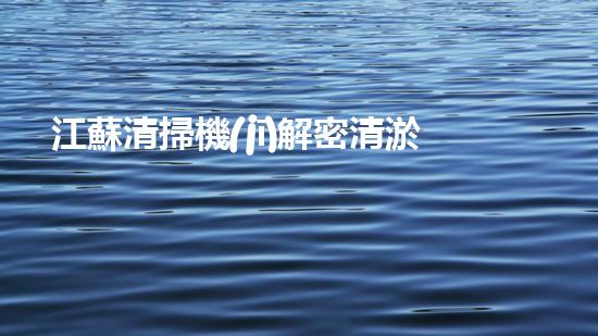 江蘇清掃機(jī)解密清淤工程中的技術(shù)突破！